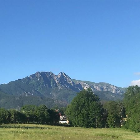 Camping Zakopane Willa Skoczek Oferta Nie Dotyczy Noclegu W Pokoju ,W Namiocie Reczniki Woda Mineralna , Koldra Poduszki Lub Spiwory Exterior foto