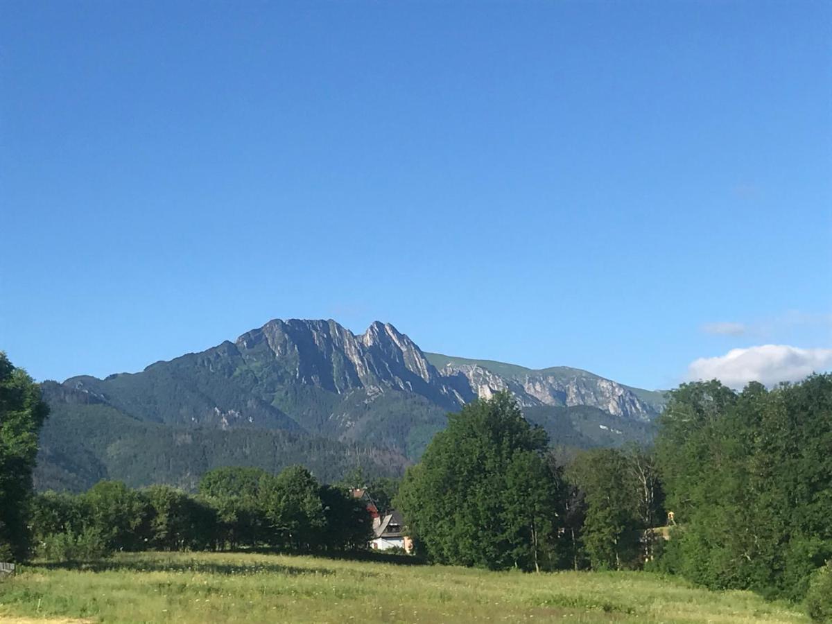 Camping Zakopane Willa Skoczek Oferta Nie Dotyczy Noclegu W Pokoju ,W Namiocie Reczniki Woda Mineralna , Koldra Poduszki Lub Spiwory Exterior foto